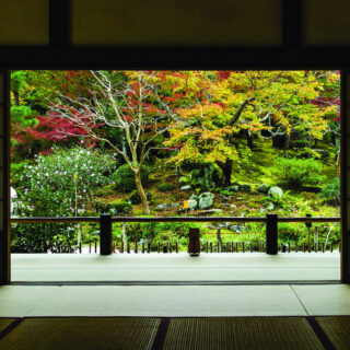 Kolekcija Interface tepih podova Embodied Beauty™ - inspirisana japanskim konceptom „Ikigai“